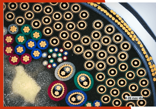 Microscope cross-section of a multi-conductor cable, showing dozens of insulated copper conductors in red, blue, green, and white, an outer ring of copper strands, and a 0.20 mm per division scale bar.